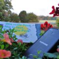WEtell-Flyer und Fairphone im Blumenkasten